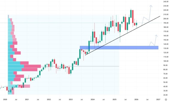 Měsíční akciový graf společnosti Palo Alto