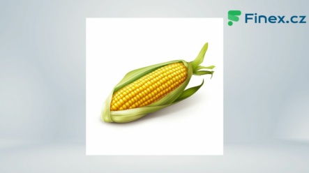 Kukuřice – Základní informace, cena, graf