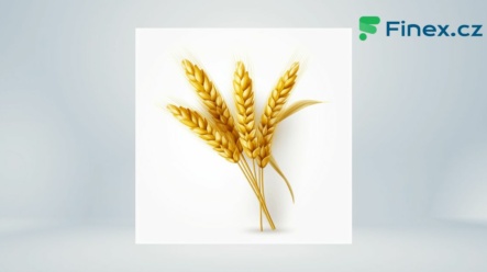 Pšenice – Aktuální cena, graf vývoje, kde obchodovat