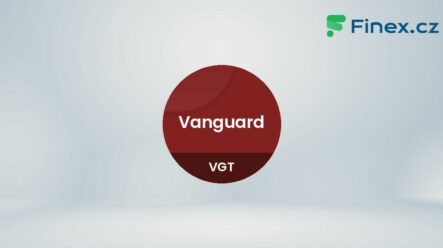 Vanguard Information Technology