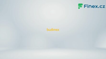 Akcie Budimex (BDX) – Aktuální cena, graf, kde koupit